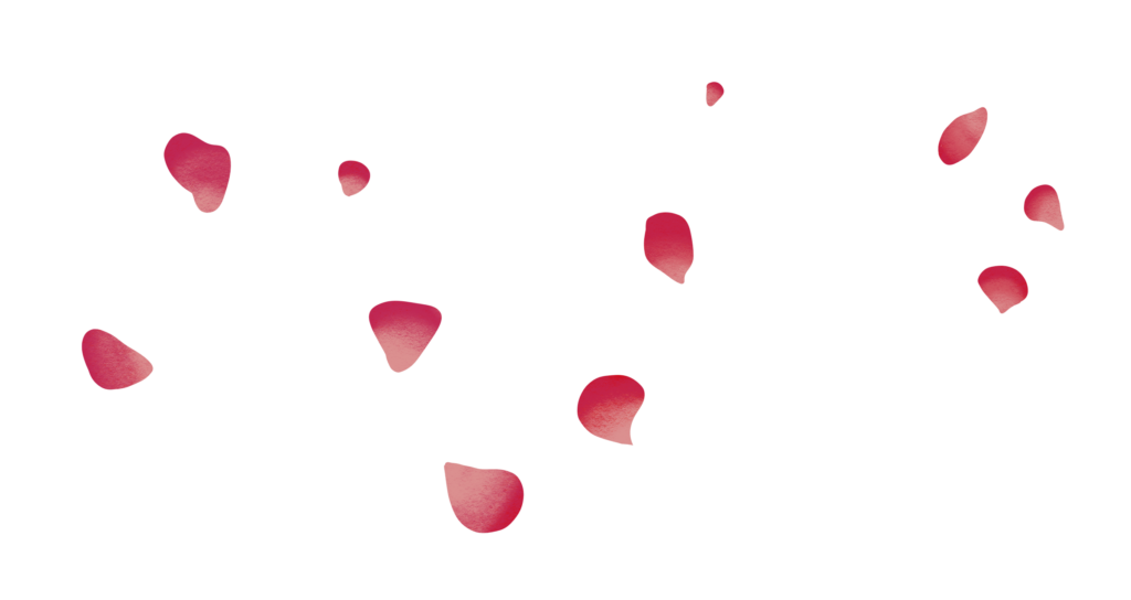 Illustration of pink flower petals