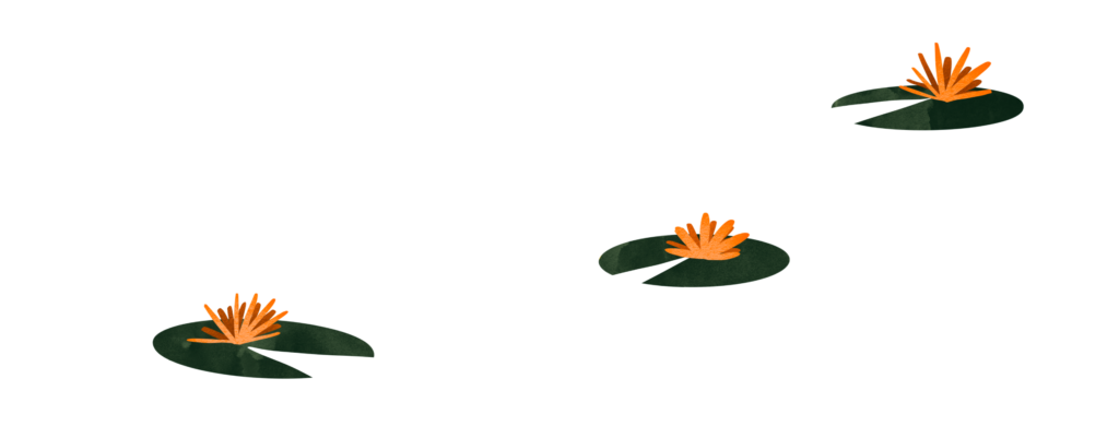 Illustration of 3 lilypads with orange flowers